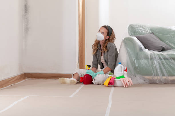 Reliable Commercial Mold Remediation contractor in Bahama, NC by 24 Hour Mold Removal